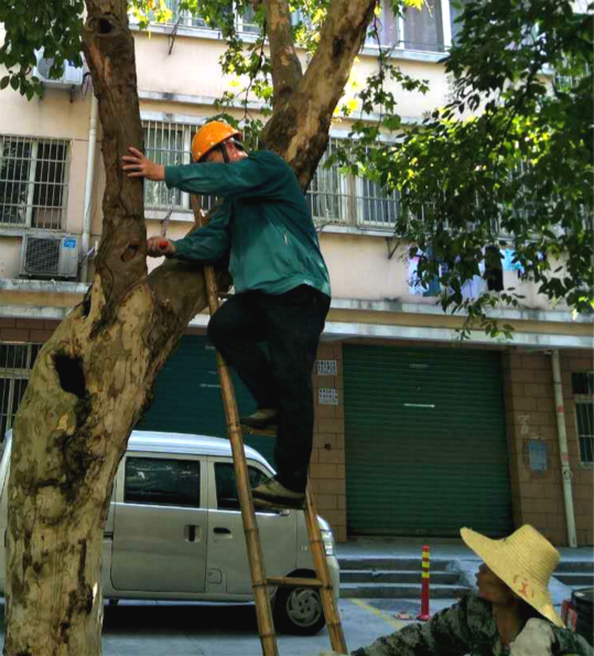 1566185222681006149.jpg 公管公司-高温下的护绿人_meitu_8(小).jpg